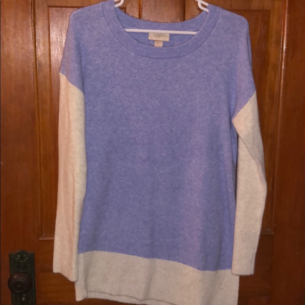 Women’s LOFT sweater